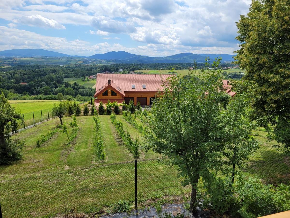 Fantastic View Vineyard Beskid Mountains Gruszow  Exteriör bild