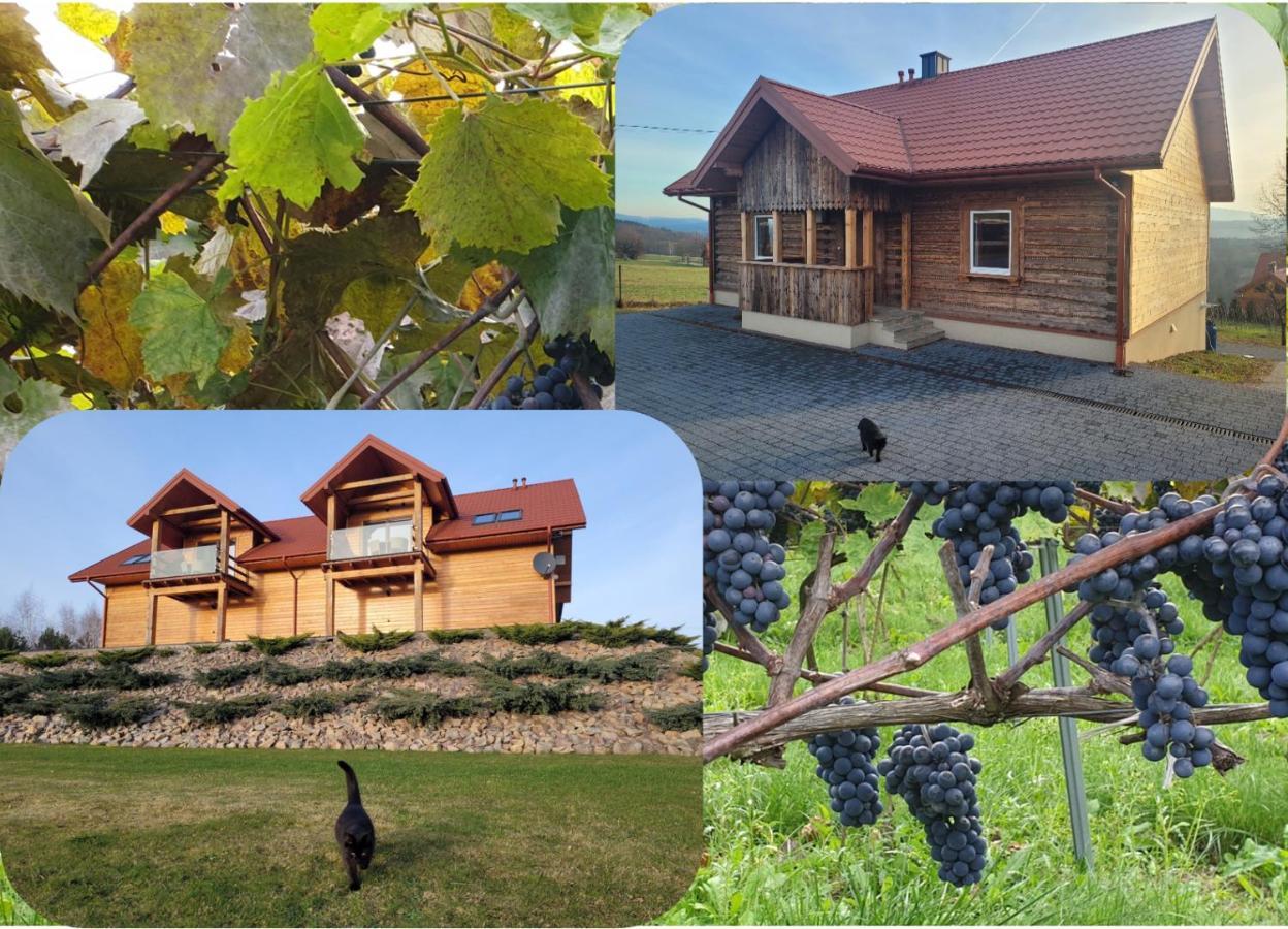 Fantastic View Vineyard Beskid Mountains Gruszow  Exteriör bild