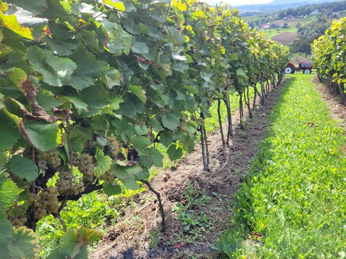 Fantastic View Vineyard Beskid Mountains Gruszow  Exteriör bild
