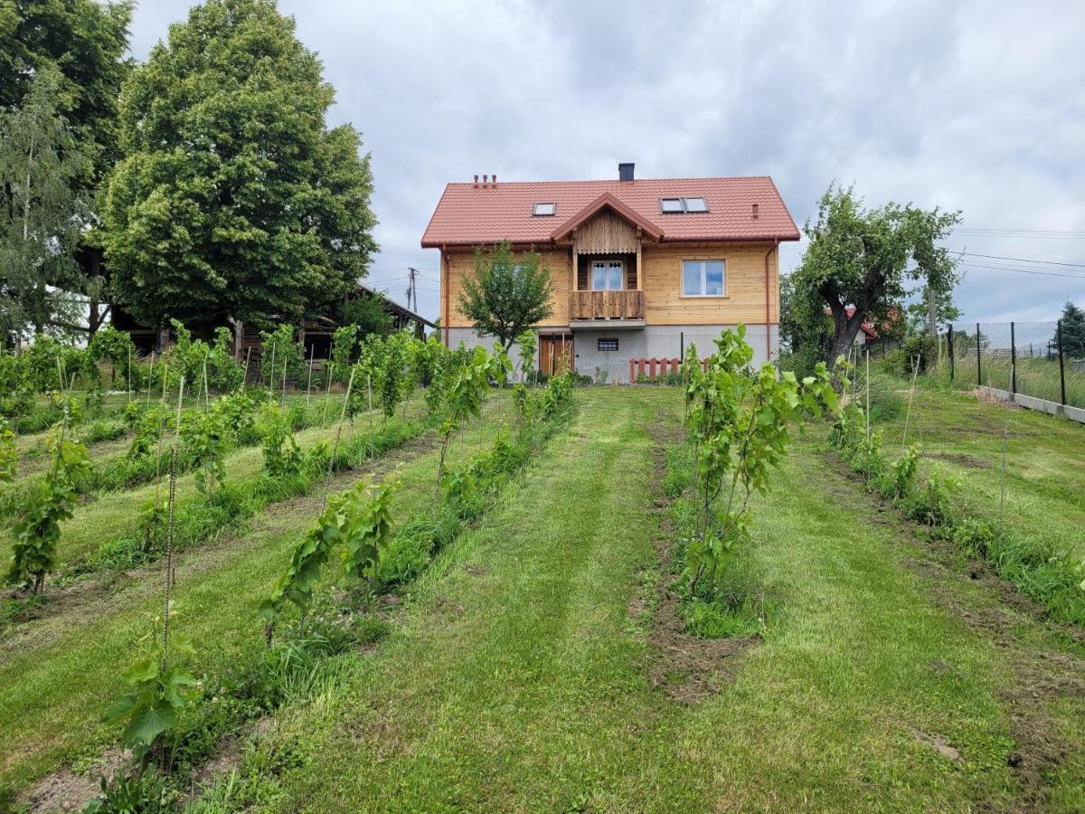 Fantastic View Vineyard Beskid Mountains Gruszow  Exteriör bild