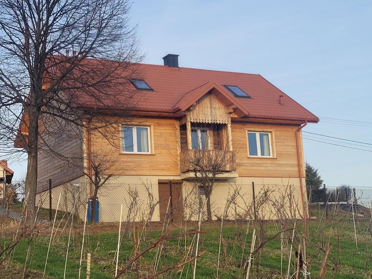 Fantastic View Vineyard Beskid Mountains Gruszow  Exteriör bild