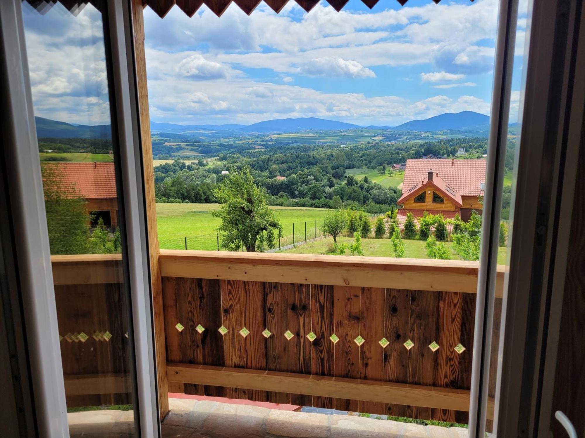 Fantastic View Vineyard Beskid Mountains Gruszow  Rum bild