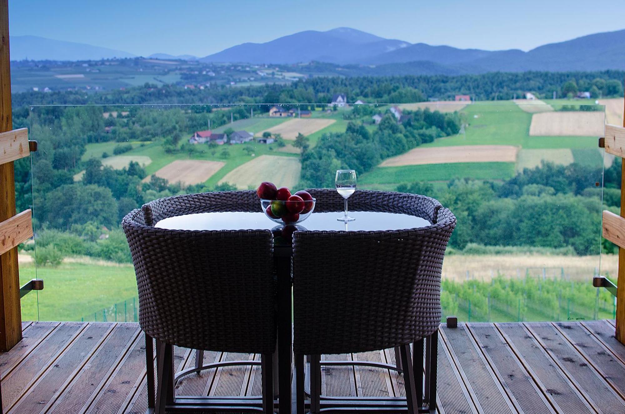 Fantastic View Vineyard Beskid Mountains Gruszow  Rum bild