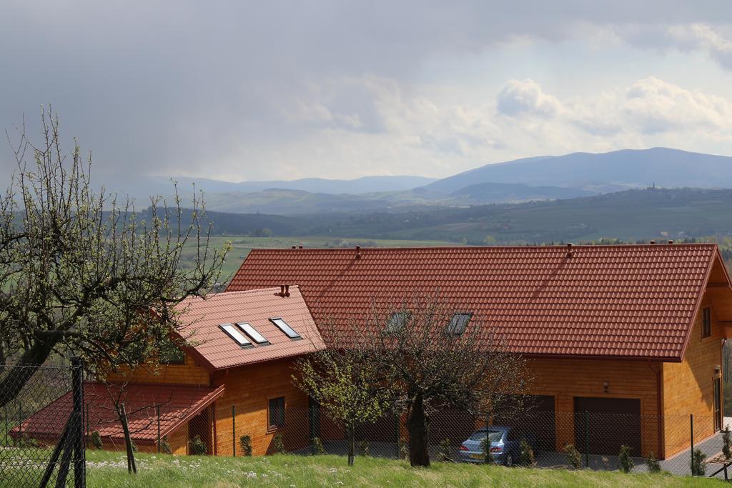 Fantastic View Vineyard Beskid Mountains Gruszow  Exteriör bild